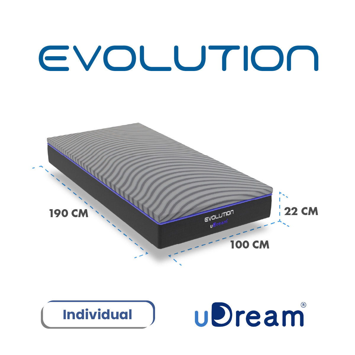 Evolution