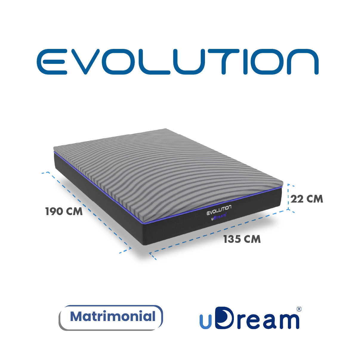 Evolution