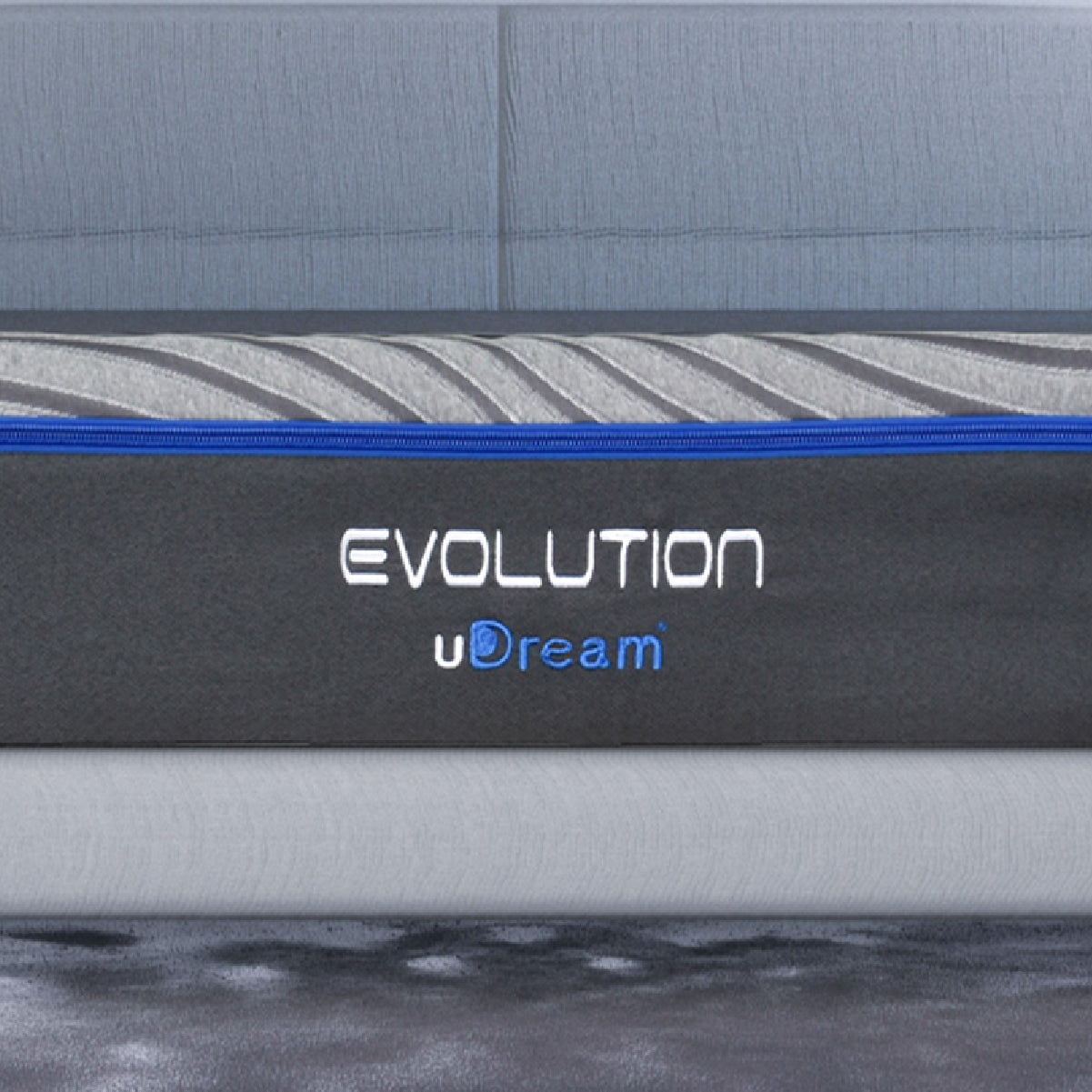 Evolution