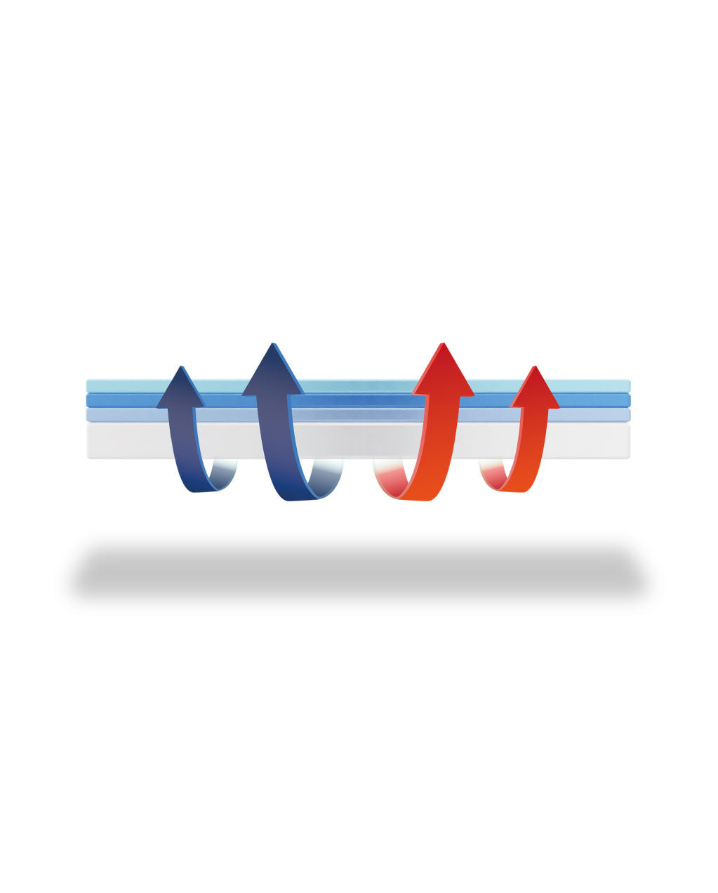 iDreamFiber